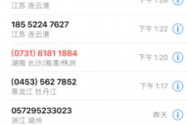 曲麻莱债务清欠服务