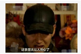 曲麻莱融资清欠服务