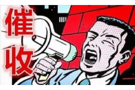 曲麻莱工资清欠服务