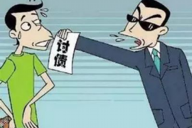 曲麻莱企业清欠服务